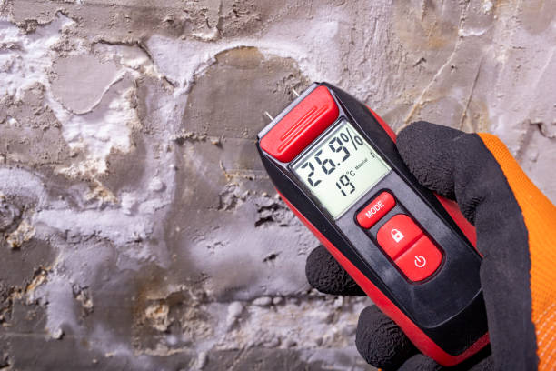 Attic Mold Removal in Priceville, AL